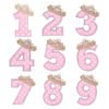 All Numbers Tiara Applique 600 blank background