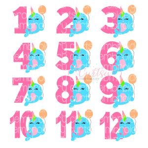 Narwhal Birthday SVG Design Set