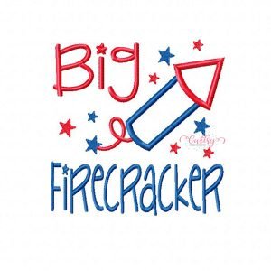 Big Firecracker Applique Design