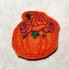Flower Pumpkin Felties photograph 4