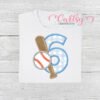 6th Birthday Baseball Birthday Picture 1 6th Birthday Baseball Birthday Picture 1