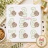 Chocolate Chip Cookie Set _ Etsy 2000