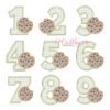 Chocolate Chip Cookie Set _ Website