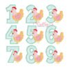 All Numbers Chicken 600 logo