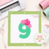 9th Birthday Roses Applique Design _ Logo 2 9th Birthday Roses Applique Design _ Logo 2