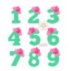 Birthday Roses SVG File _ Website